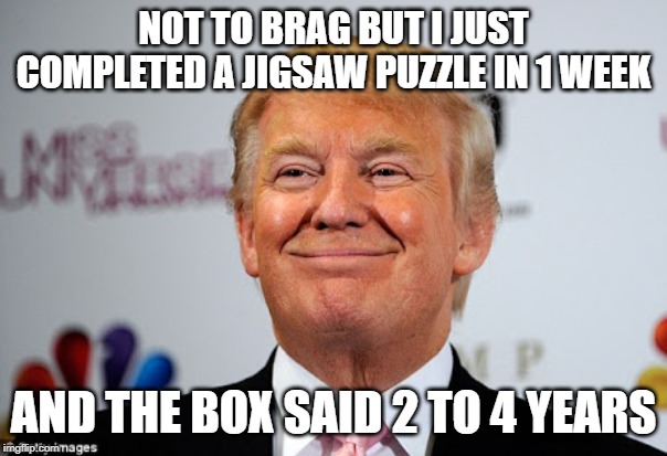 best brain | NOT TO BRAG BUT I JUST COMPLETED A JIGSAW PUZZLE IN 1 WEEK; AND THE BOX SAID 2 TO 4 YEARS | image tagged in donald trump approves,donald trump is an idiot,trump impeachment | made w/ Imgflip meme maker