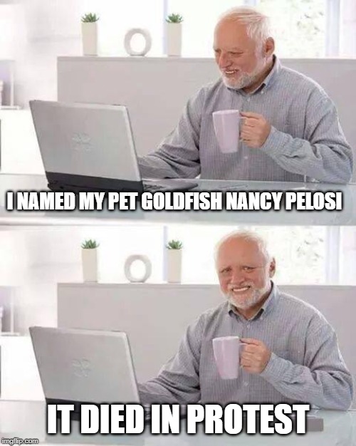 HAHAHAHAHAHA! | I NAMED MY PET GOLDFISH NANCY PELOSI; IT DIED IN PROTEST | image tagged in memes,hide the pain harold,nancy pelosi | made w/ Imgflip meme maker