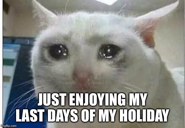 crying cat | JUST ENJOYING MY LAST DAYS OF MY HOLIDAY | image tagged in crying cat | made w/ Imgflip meme maker