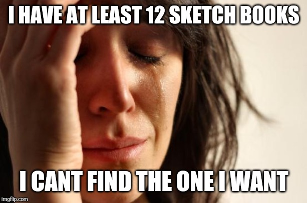 Anyone else have this problem | I HAVE AT LEAST 12 SKETCH BOOKS; I CANT FIND THE ONE I WANT | image tagged in memes,first world problems,sketch,drawing | made w/ Imgflip meme maker