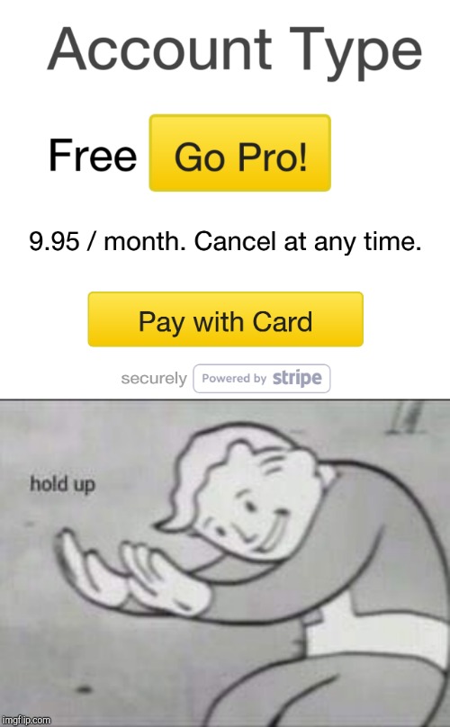 When you think pro is free | image tagged in fallout hold up,go pro,imgflip | made w/ Imgflip meme maker