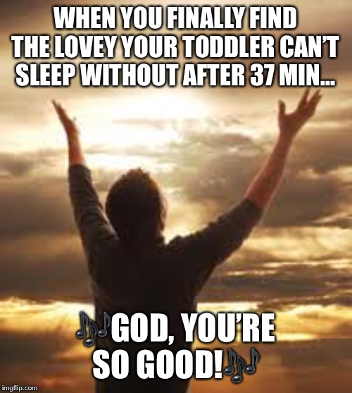 Worship | WHEN YOU FINALLY FIND THE LOVEY YOUR TODDLER CAN’T SLEEP WITHOUT AFTER 37 MIN... 🎶GOD, YOU’RE SO GOOD!🎶 | image tagged in worship | made w/ Imgflip meme maker