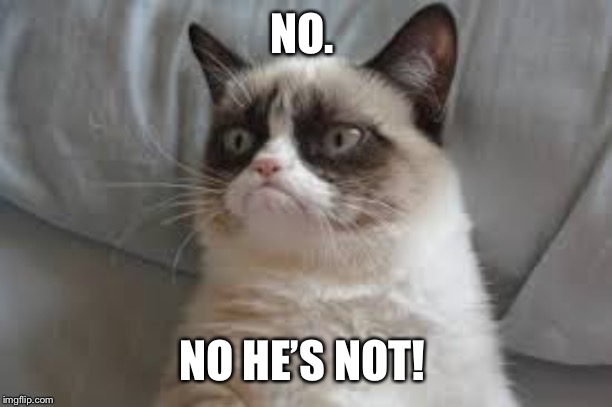 Grumpy cat | NO. NO HE’S NOT! | image tagged in grumpy cat | made w/ Imgflip meme maker
