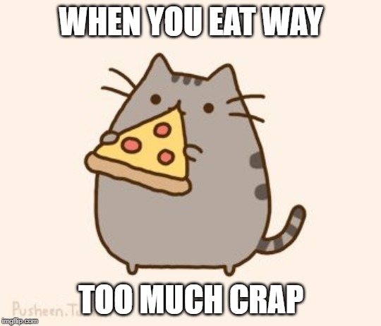 Pusheen eating Pizza | WHEN YOU EAT WAY; TOO MUCH CRAP | image tagged in pusheen eating pizza | made w/ Imgflip meme maker