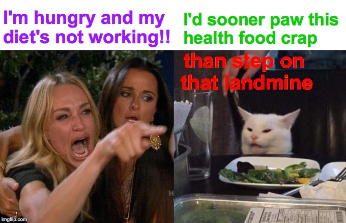 Better Left Unsaid | I'm hungry and my diet's not working!! I'd sooner paw this health food crap; than step on   that landmine | image tagged in memes,woman yelling at cat,angry lady cat,diet,salad,you don't say | made w/ Imgflip meme maker