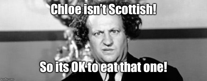 Stooged | Chloe isn’t Scottish! So its OK to eat that one! | image tagged in stooged | made w/ Imgflip meme maker