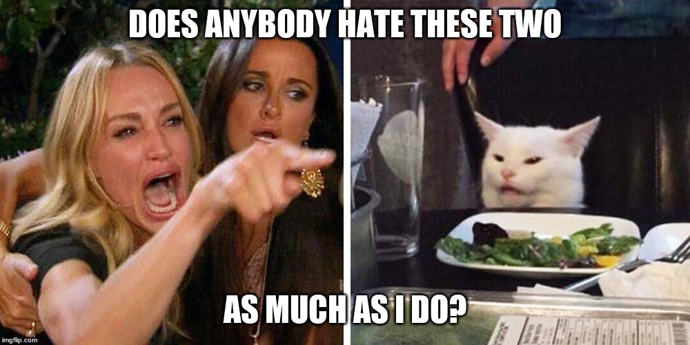Smudge the cat | DOES ANYBODY HATE THESE TWO; AS MUCH AS I DO? | image tagged in smudge the cat | made w/ Imgflip meme maker