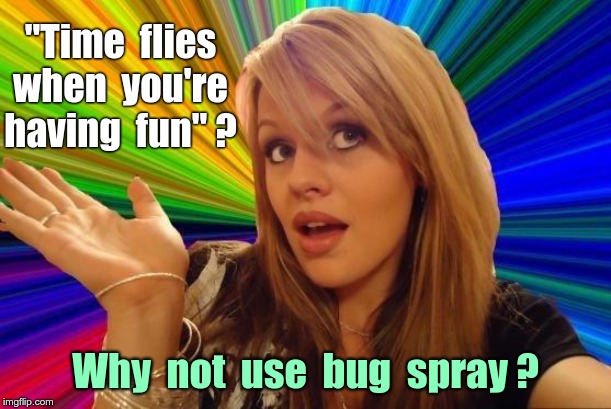 Time Flies When You're Having Fun | "Time  flies
when  you're
having  fun" ? Why  not  use  bug  spray ? | image tagged in memes,dumb blonde,having fun,rick75230,okay i'm officially weird | made w/ Imgflip meme maker