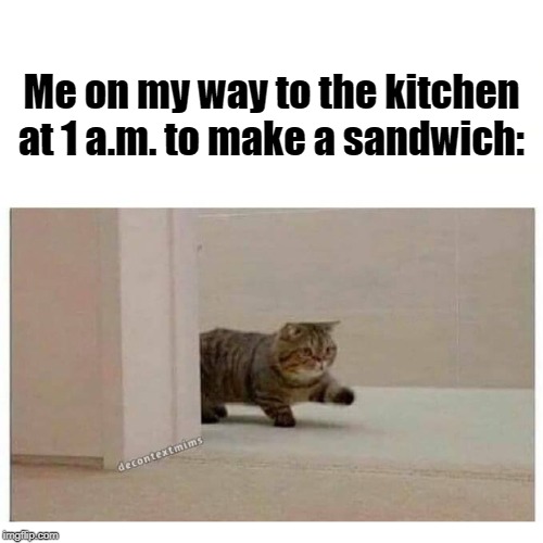 This actually happened. | Me on my way to the kitchen at 1 a.m. to make a sandwich: | image tagged in kitchen,cats,make me a sandwich,sandwich | made w/ Imgflip meme maker
