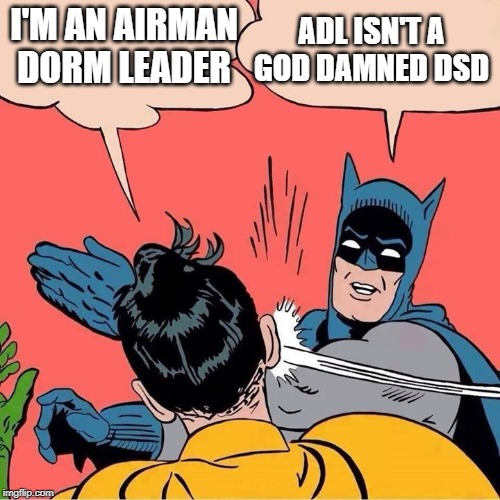 Batman slapping Robin | I'M AN AIRMAN DORM LEADER; ADL ISN'T A GOD DAMNED DSD | image tagged in batman slapping robin | made w/ Imgflip meme maker