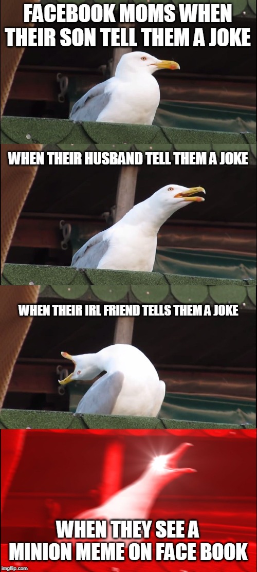 Inhaling Seagull | FACEBOOK MOMS WHEN THEIR SON TELL THEM A JOKE; WHEN THEIR HUSBAND TELL THEM A JOKE; WHEN THEIR IRL FRIEND TELLS THEM A JOKE; WHEN THEY SEE A MINION MEME ON FACE BOOK | image tagged in memes,inhaling seagull | made w/ Imgflip meme maker