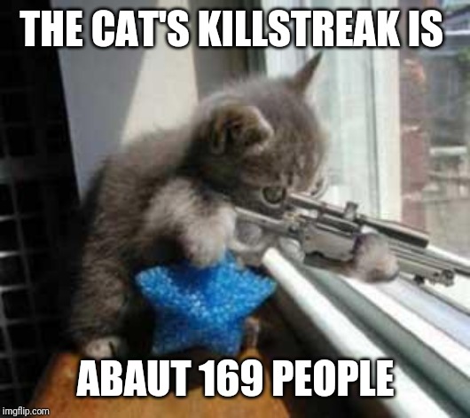 CatSniper | THE CAT'S KILLSTREAK IS; ABAUT 169 PEOPLE | image tagged in catsniper | made w/ Imgflip meme maker