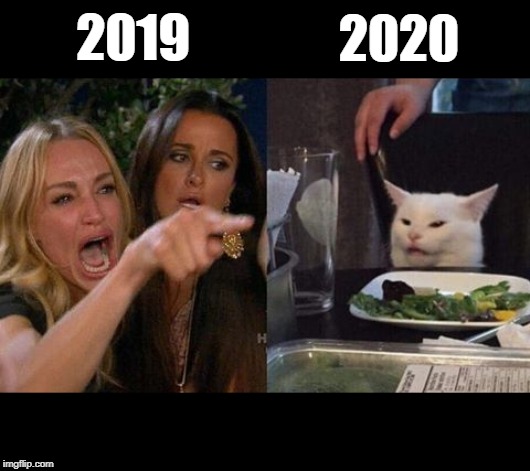 Gatto schifomadò | 2019; 2020 | image tagged in gatto schifomad | made w/ Imgflip meme maker