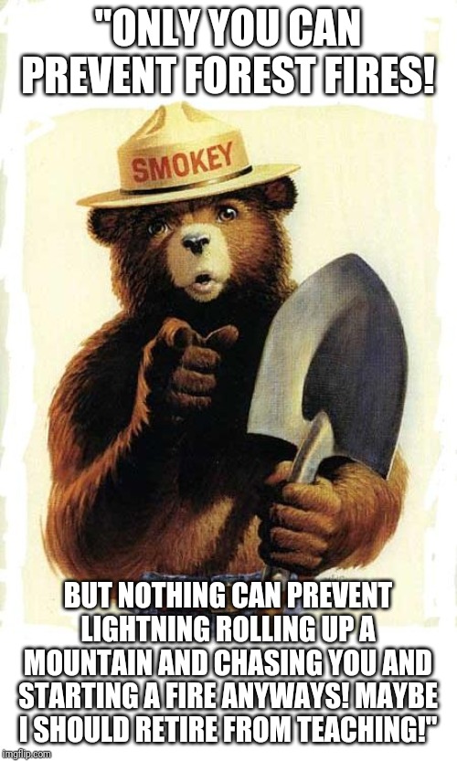 Let's Dum Dem Kids Down! | "ONLY YOU CAN PREVENT FOREST FIRES! BUT NOTHING CAN PREVENT LIGHTNING ROLLING UP A MOUNTAIN AND CHASING YOU AND STARTING A FIRE ANYWAYS! MAYBE I SHOULD RETIRE FROM TEACHING!" | image tagged in smokey the bear,professor oak,rolling,lightning | made w/ Imgflip meme maker