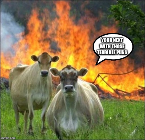 Evil Cows Meme | YOUR NEXT WITH THOSE TERRIBLE PUNS | image tagged in memes,evil cows | made w/ Imgflip meme maker