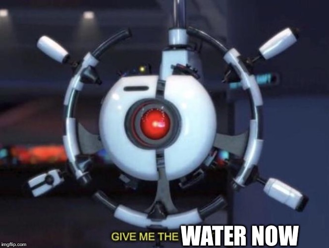 give me the plant | WATER NOW | image tagged in give me the plant | made w/ Imgflip meme maker