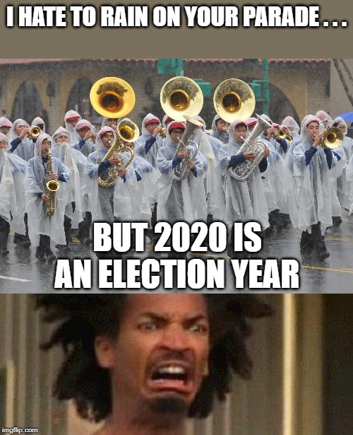 Campaigning everywhere you go | I HATE TO RAIN ON YOUR PARADE . . . BUT 2020 IS AN ELECTION YEAR | image tagged in disgusted face,memes,rain on your parade,2020 | made w/ Imgflip meme maker