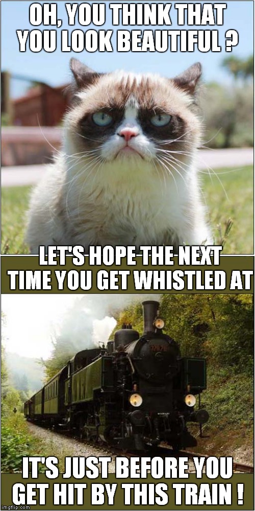 Grumpys Reality Check | OH, YOU THINK THAT YOU LOOK BEAUTIFUL ? LET'S HOPE THE NEXT TIME YOU GET WHISTLED AT; IT'S JUST BEFORE YOU GET HIT BY THIS TRAIN ! | image tagged in fun,grumpy cat,train | made w/ Imgflip meme maker