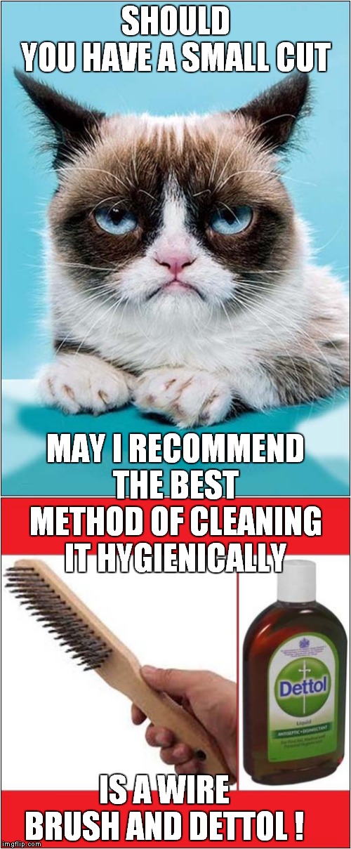 Grumpys First Aid Tip | SHOULD YOU HAVE A SMALL CUT; MAY I RECOMMEND THE BEST METHOD OF CLEANING IT HYGIENICALLY; IS A WIRE BRUSH AND DETTOL ! | image tagged in fun,grumpy cat,first aid | made w/ Imgflip meme maker