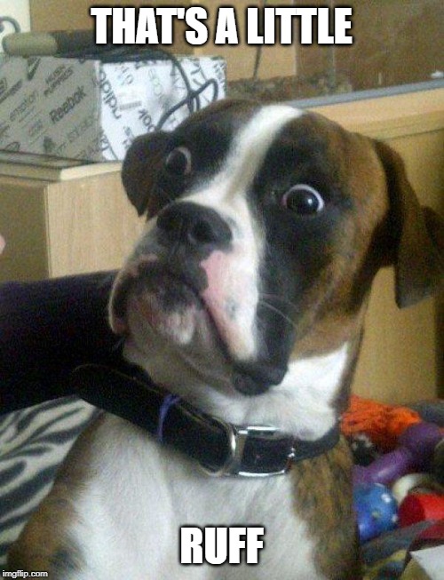 Blankie the Shocked Dog | THAT'S A LITTLE RUFF | image tagged in blankie the shocked dog | made w/ Imgflip meme maker
