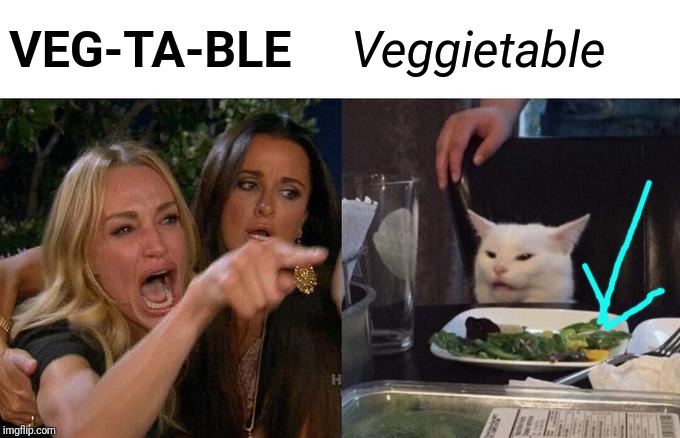 Woman Yelling At Cat | VEG-TA-BLE; Veggietable | image tagged in memes,woman yelling at cat | made w/ Imgflip meme maker