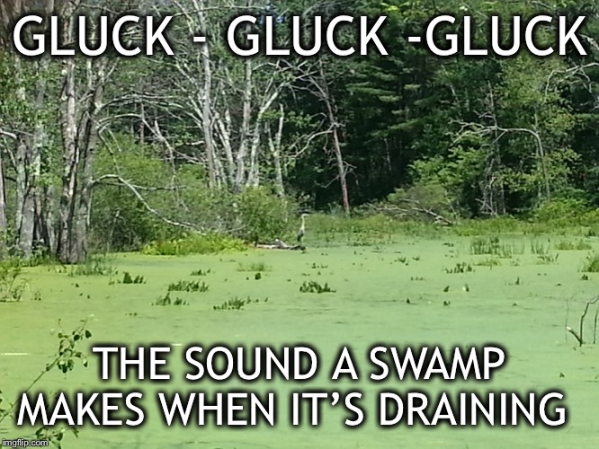 He’s doing what he promised and they are running scared | GLUCK - GLUCK -GLUCK; THE SOUND A SWAMP MAKES WHEN IT’S DRAINING | image tagged in drain it,trump 2020 | made w/ Imgflip meme maker