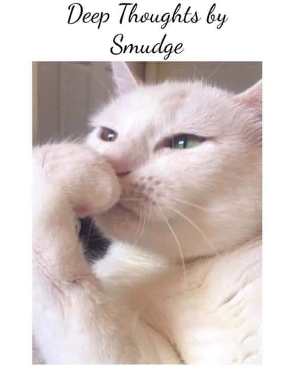 SMUDGE DEEP THOUGHTS Meme Generator - Imgflip