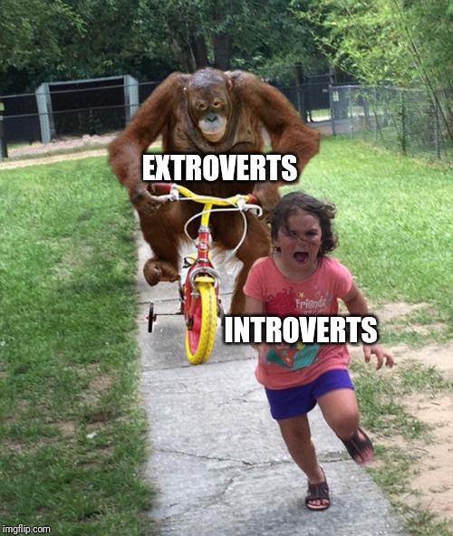 Orangutan chasing girl on a tricycle | EXTROVERTS; INTROVERTS | image tagged in orangutan chasing girl on a tricycle | made w/ Imgflip meme maker