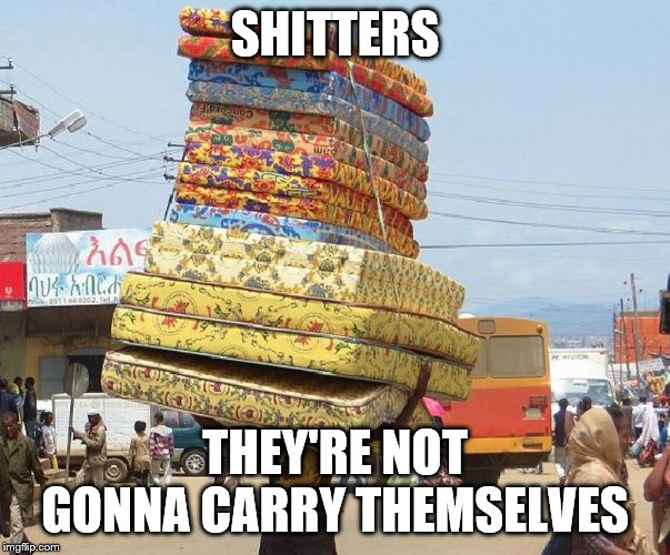 Shitters | SHITTERS; THEY'RE NOT GONNA CARRY THEMSELVES | image tagged in gaming | made w/ Imgflip meme maker