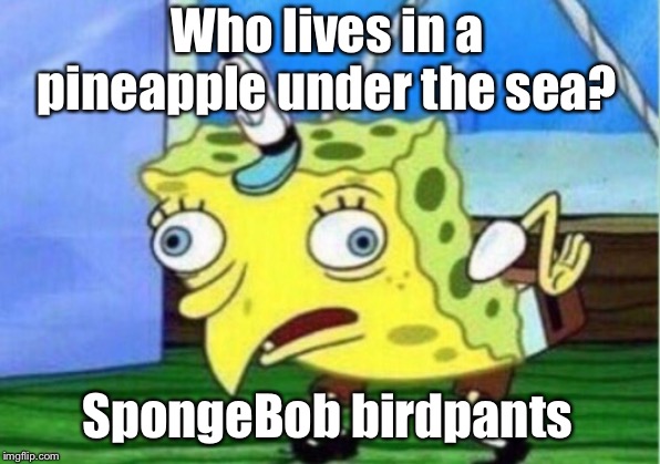 Mocking Spongebob Meme | Who lives in a pineapple under the sea? SpongeBob birdpants | image tagged in memes,mocking spongebob | made w/ Imgflip meme maker