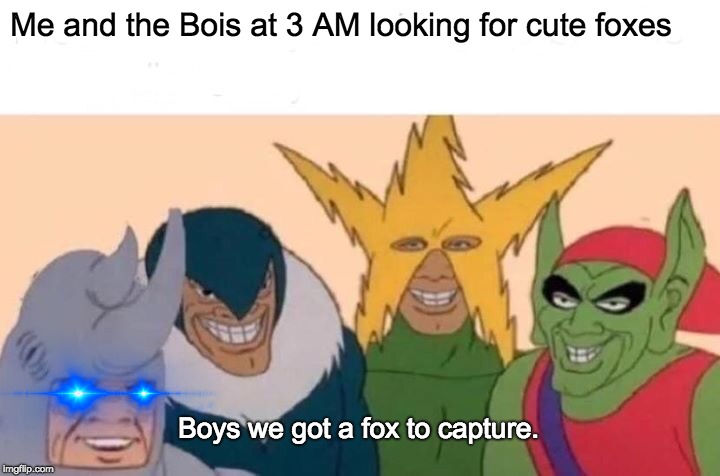 Let go for that 2 tailed fox at 3 AM | Me and the Bois at 3 AM looking for cute foxes; Boys we got a fox to capture. | image tagged in memes,me and the boys | made w/ Imgflip meme maker