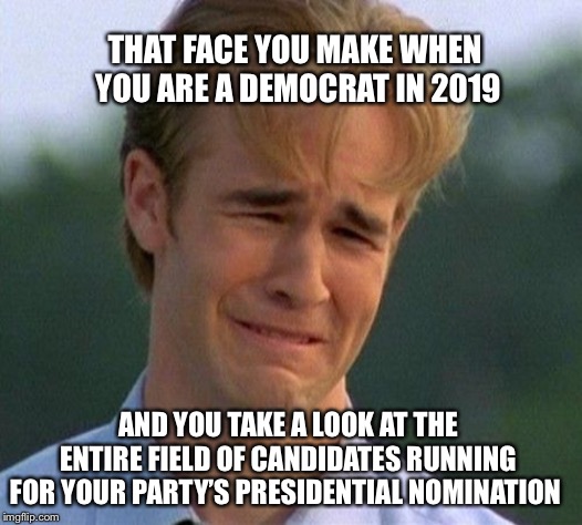 1990s First World Problems Meme | THAT FACE YOU MAKE WHEN 
YOU ARE A DEMOCRAT IN 2019; AND YOU TAKE A LOOK AT THE ENTIRE FIELD OF CANDIDATES RUNNING FOR YOUR PARTY’S PRESIDENTIAL NOMINATION | image tagged in memes,1990s first world problems | made w/ Imgflip meme maker