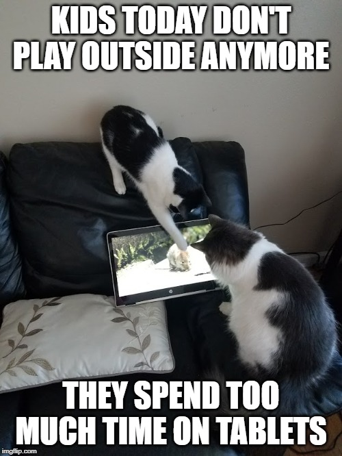 KIDS TODAY DON'T PLAY OUTSIDE ANYMORE; THEY SPEND TOO MUCH TIME ON TABLETS | image tagged in cats,computers,tablets | made w/ Imgflip meme maker