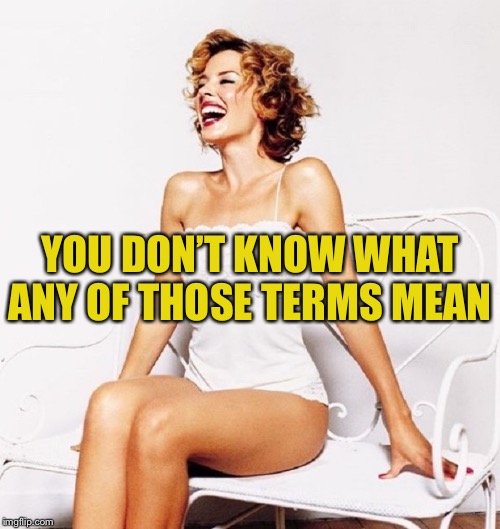 When they just start accusing Pelosi of the exact same stuff in the Articles of Impeachment. | YOU DON’T KNOW WHAT ANY OF THOSE TERMS MEAN | image tagged in kylie laugh redhead,impeachment,impeach trump,trump impeachment,nancy pelosi,politics lol | made w/ Imgflip meme maker