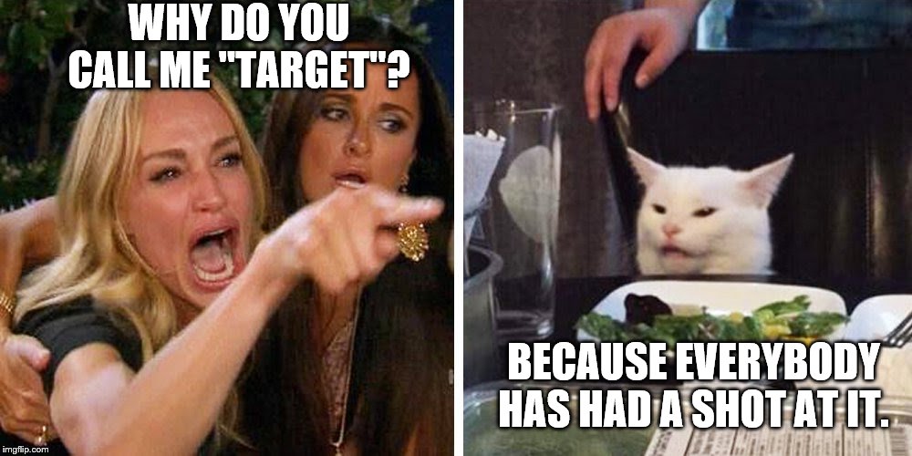 Smudge the cat | WHY DO YOU CALL ME "TARGET"? BECAUSE EVERYBODY HAS HAD A SHOT AT IT. | image tagged in smudge the cat | made w/ Imgflip meme maker