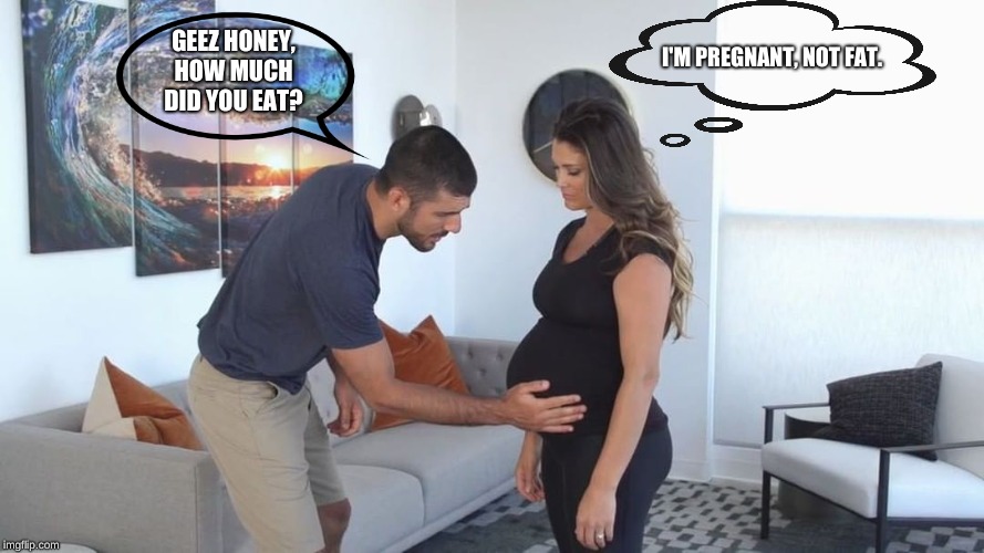 Things you should NOT say to a pregnant woman | I'M PREGNANT, NOT FAT. GEEZ HONEY, HOW MUCH DID YOU EAT? | image tagged in pregnant woman,fat | made w/ Imgflip meme maker