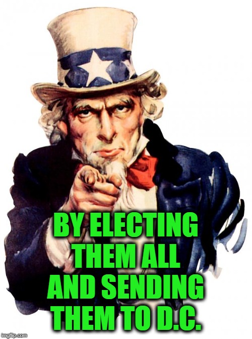 Uncle Sam Meme | BY ELECTING THEM ALL AND SENDING THEM TO D.C. | image tagged in memes,uncle sam | made w/ Imgflip meme maker