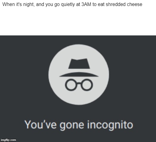 You've gone incognito | When it's night, and you go quietly at 3AM to eat shredded cheese | image tagged in you've gone incognito | made w/ Imgflip meme maker