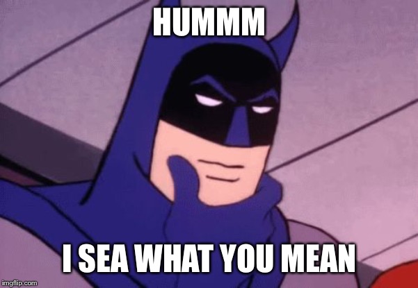 Batman Pondering | HUMMM I SEA WHAT YOU MEAN | image tagged in batman pondering | made w/ Imgflip meme maker