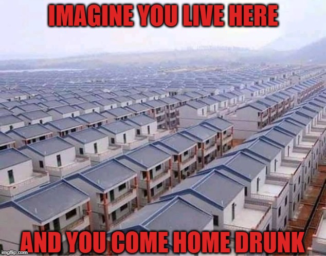 Happy New Year | IMAGINE YOU LIVE HERE; AND YOU COME HOME DRUNK | image tagged in go home youre drunk,good luck | made w/ Imgflip meme maker