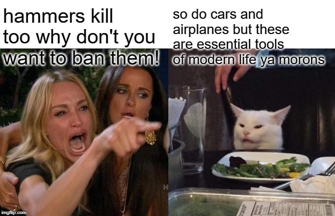 Why the conservative deflection to hammers, knives, cars, airplanes, etc. in gun control conversations is always unavailing. | hammers kill too why don't you want to ban them! so do cars and airplanes but these are essential tools of modern life ya morons | image tagged in memes,woman yelling at cat,gun control,second amendment,gun rights,guns | made w/ Imgflip meme maker