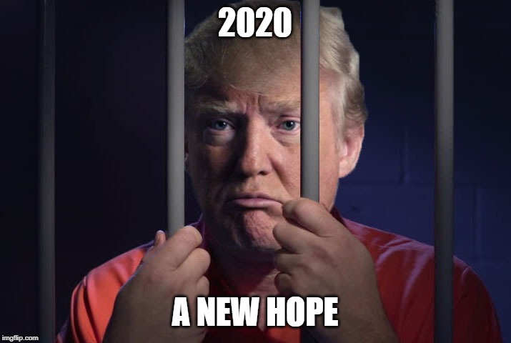 Trump Behind Bars | 2020; A NEW HOPE | image tagged in trump behind bars | made w/ Imgflip meme maker