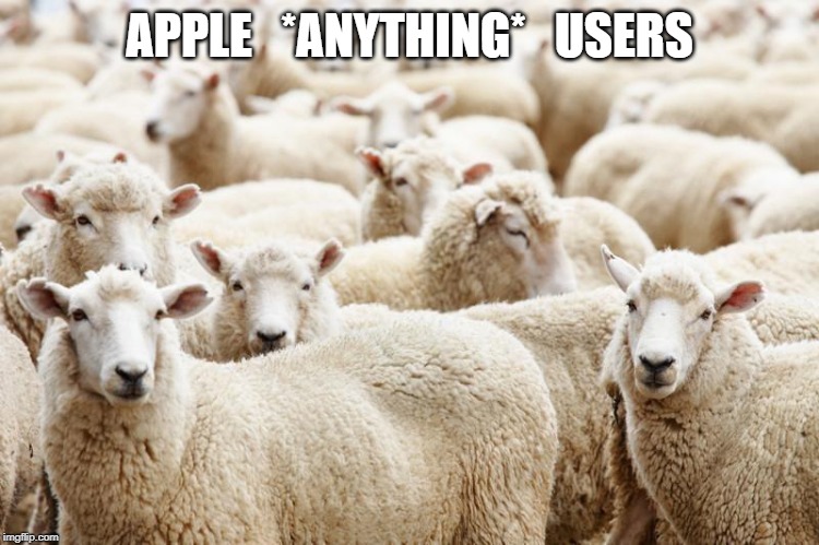 APPLE   *ANYTHING*   USERS | made w/ Imgflip meme maker