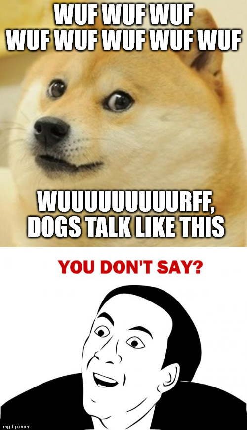 WUF WUF WUF WUF WUF WUF WUF WUF; WUUUUUUUUURFF, DOGS TALK LIKE THIS | image tagged in memes,you don't say,doge | made w/ Imgflip meme maker