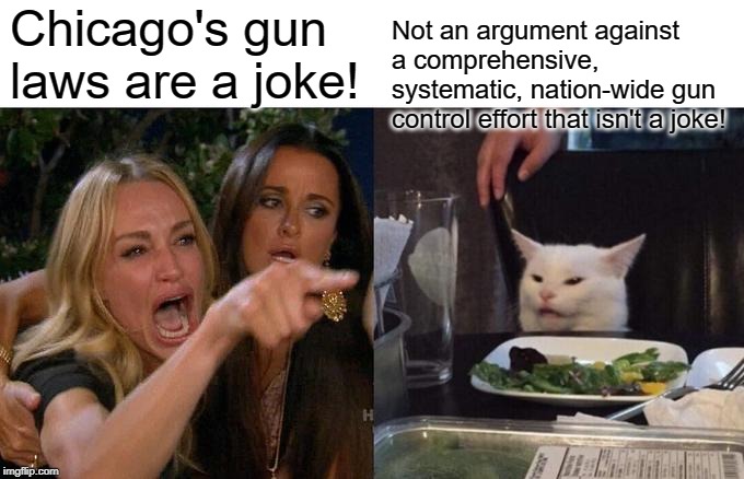 They love to talk about how "gun bans don't work" but they won't support comprehensive measures that would actually work. | Chicago's gun laws are a joke! Not an argument against a comprehensive, systematic, nation-wide gun control effort that isn't a joke! | image tagged in memes,woman yelling at cat,gun control,second amendment,guns,gun laws | made w/ Imgflip meme maker