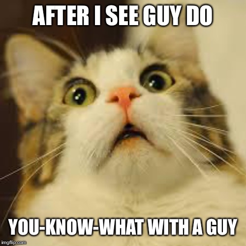 scared cat | AFTER I SEE GUY DO; YOU-KNOW-WHAT WITH A GUY | image tagged in scared cat | made w/ Imgflip meme maker