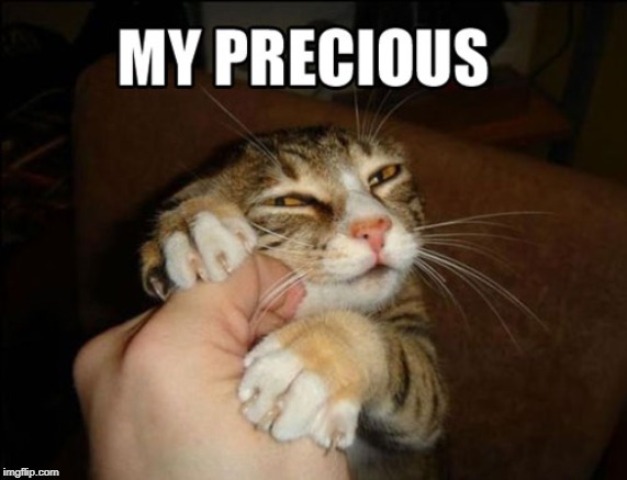 my precious | image tagged in cat love,cat humor,cat hanging on | made w/ Imgflip meme maker