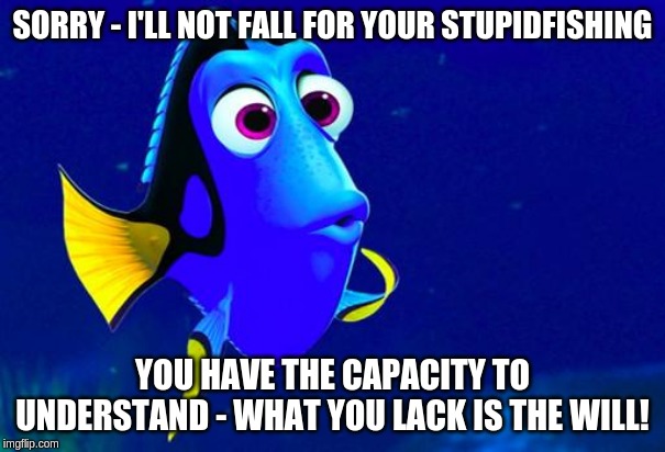 For what it's worth, you still have the right to remain silent! | SORRY - I'LL NOT FALL FOR YOUR STUPIDFISHING; YOU HAVE THE CAPACITY TO UNDERSTAND - WHAT YOU LACK IS THE WILL! | image tagged in bad memory fish,memes | made w/ Imgflip meme maker