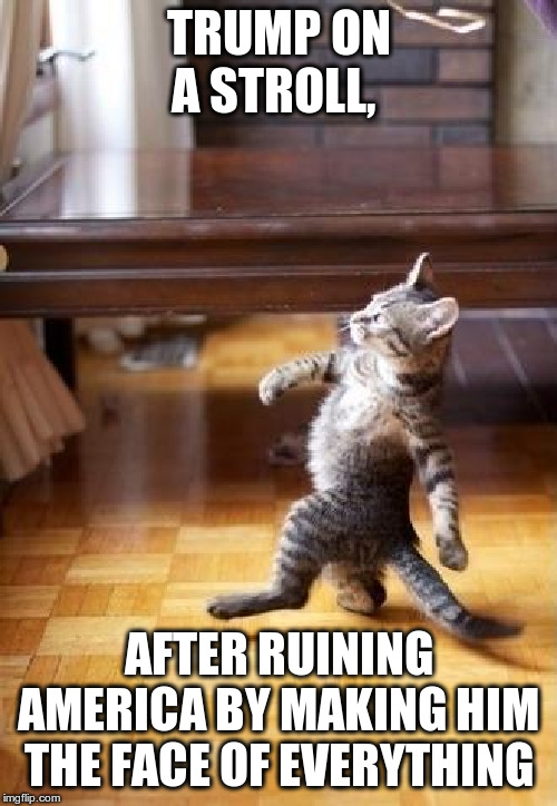 Cool Cat Stroll Meme | TRUMP ON A STROLL, AFTER RUINING AMERICA BY MAKING HIM THE FACE OF EVERYTHING | image tagged in memes,cool cat stroll | made w/ Imgflip meme maker