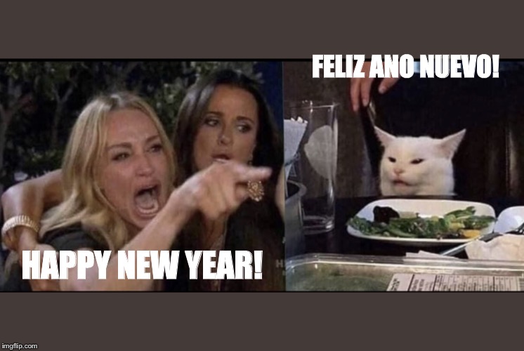 Karen Carpenter and Smudge Cat | FELIZ ANO NUEVO! HAPPY NEW YEAR! | image tagged in karen carpenter and smudge cat | made w/ Imgflip meme maker
